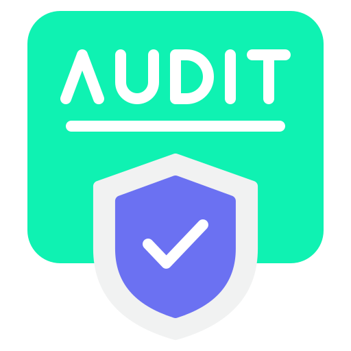 Audit icon